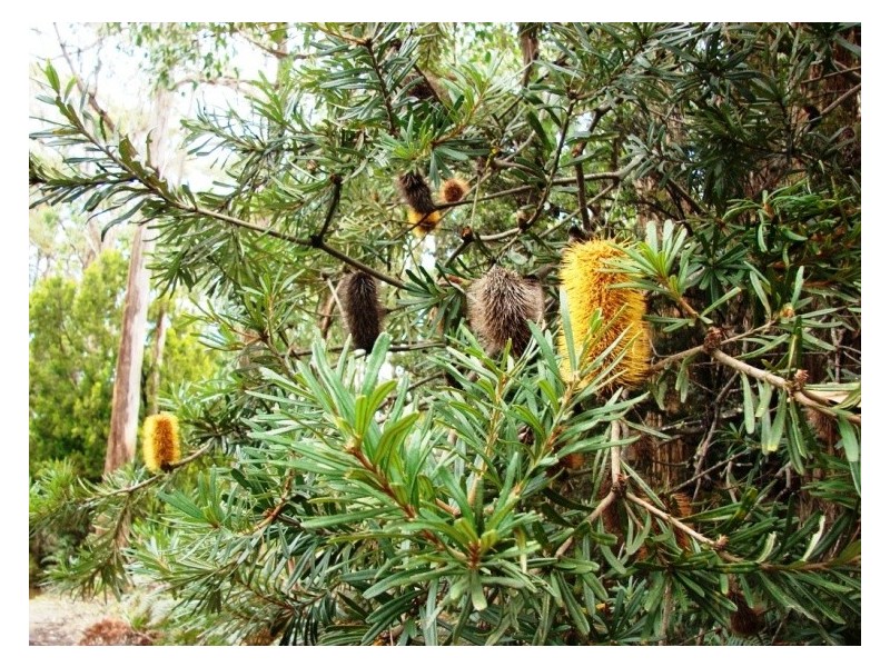 L1 Nubeena Road, Nubeena TAS 7184