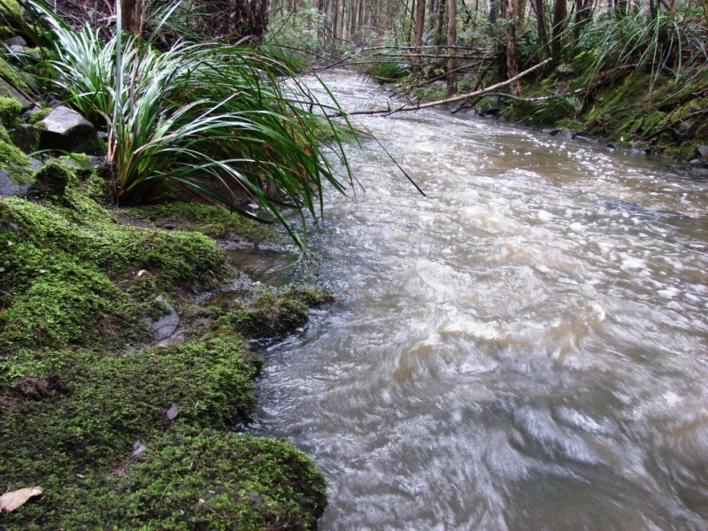 L1 Nubeena Road, Nubeena TAS 7184