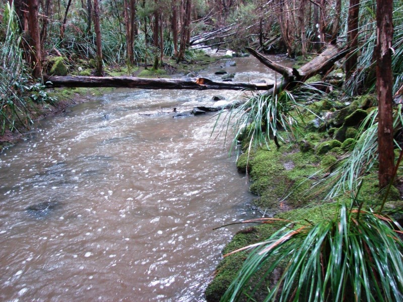 L1 Nubeena Road, Nubeena TAS 7184