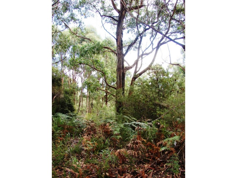L1 Nubeena Road, Nubeena TAS 7184