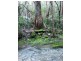 L1 Nubeena Road, Nubeena TAS 7184
