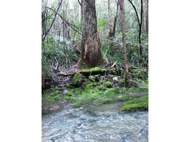 L1 Nubeena Road, Nubeena TAS 7184