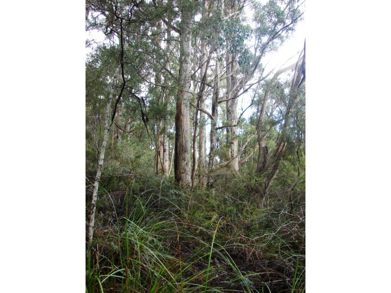 L1 Nubeena Road, Nubeena TAS 7184