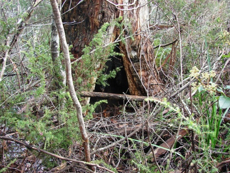 L1 Nubeena Road, Nubeena TAS 7184