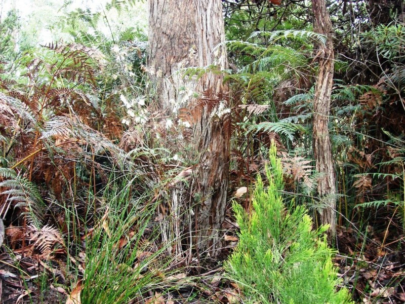 L1 Nubeena Road, Nubeena TAS 7184