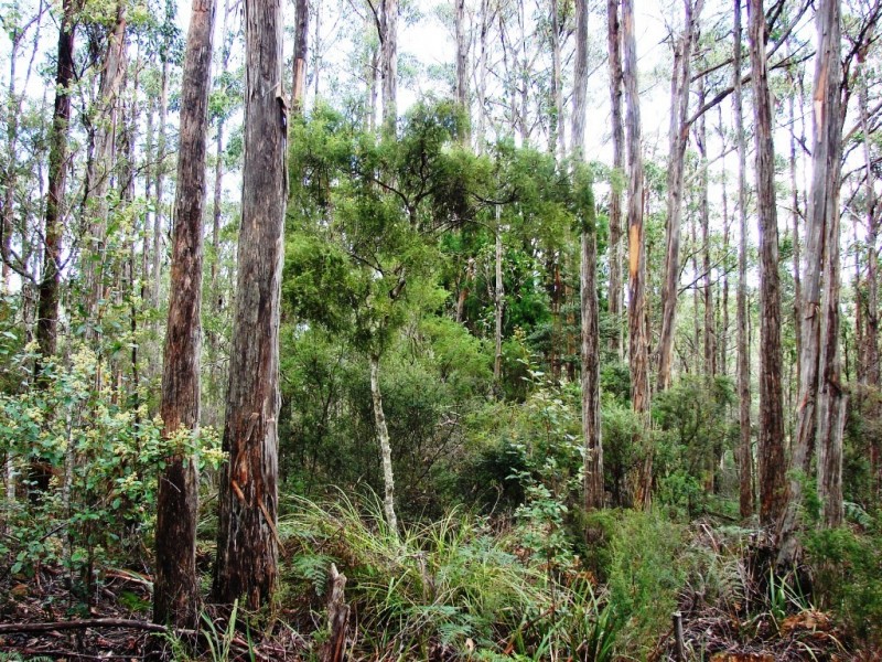 L1 Nubeena Road, Nubeena TAS 7184