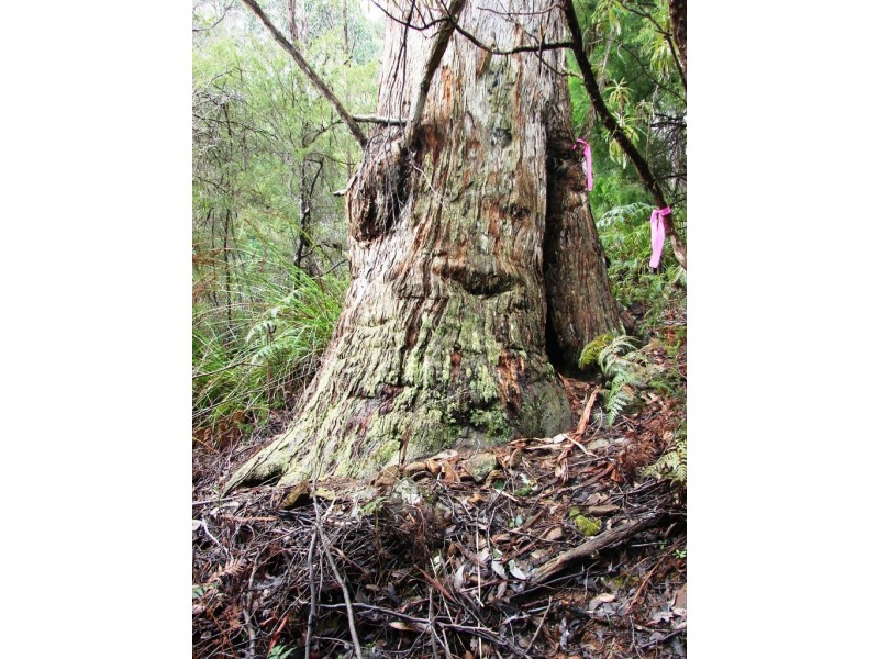 L1 Nubeena Road, Nubeena TAS 7184