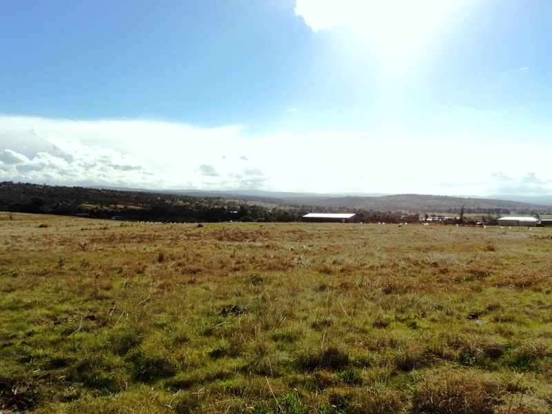 10 Tarleton Street, Swansea TAS 7190