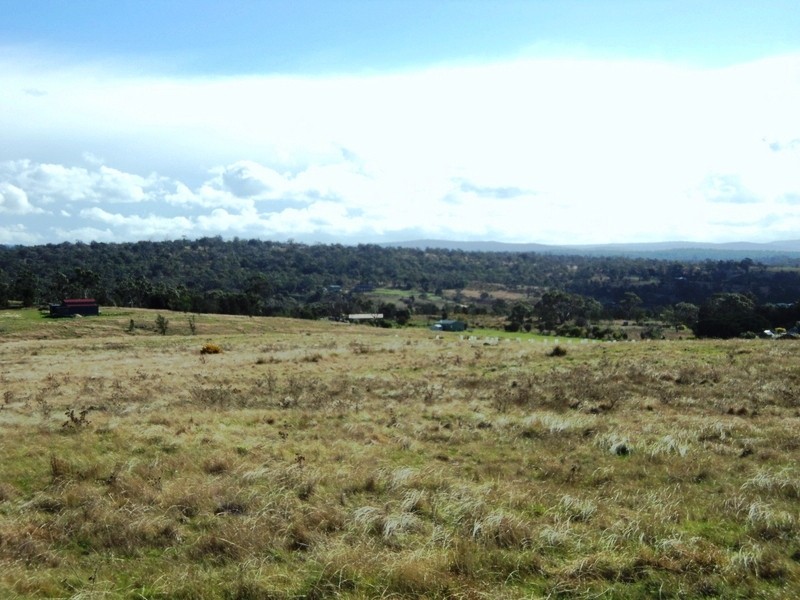 10 Tarleton Street, Swansea TAS 7190