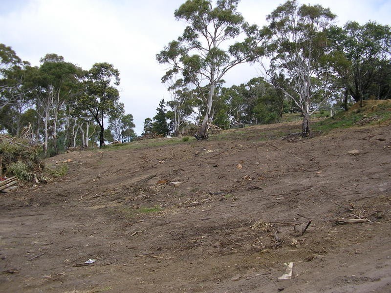 85 Native Corners Road, Campania TAS 7026
