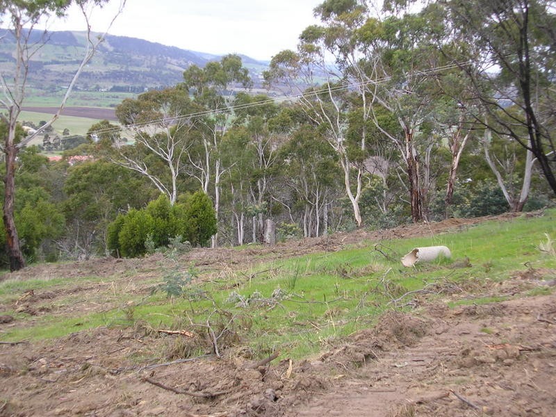 85 Native Corners Road, Campania TAS 7026