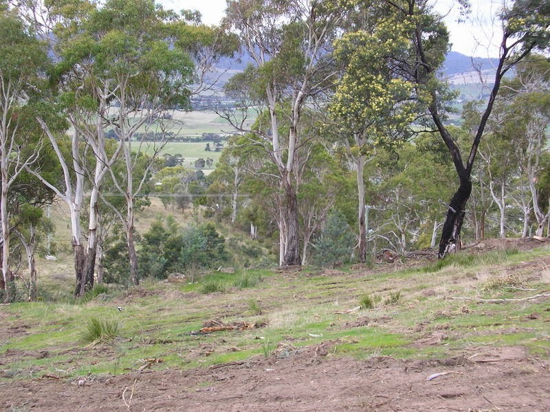 85 Native Corners Road, Campania TAS 7026