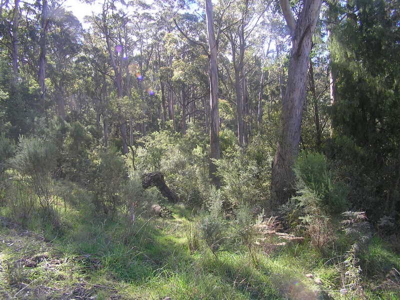 Lots 1-16 Nugent Road, Wattle Hill TAS 7172