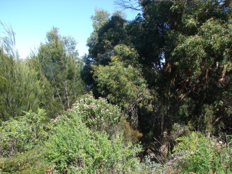 L67 Eagle View rd, Nubeena TAS 7184