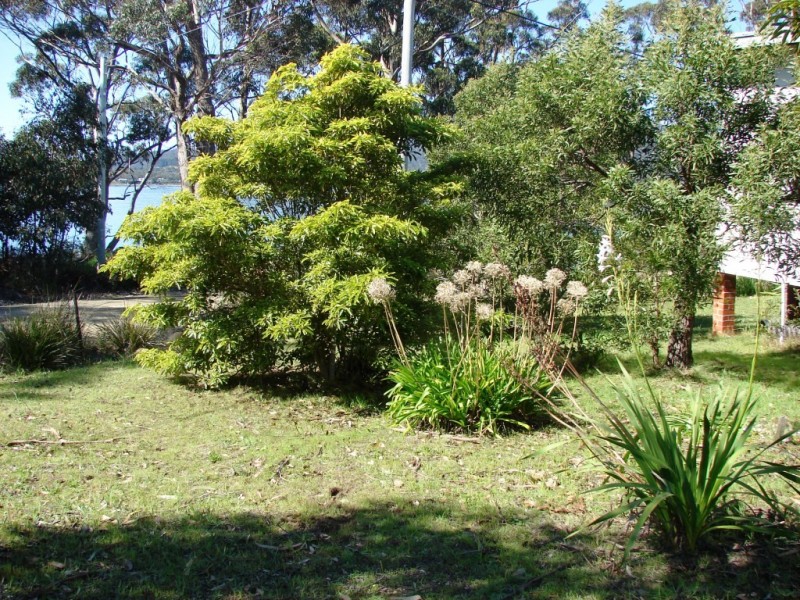 49 Batchela Street, White Beach TAS 7184