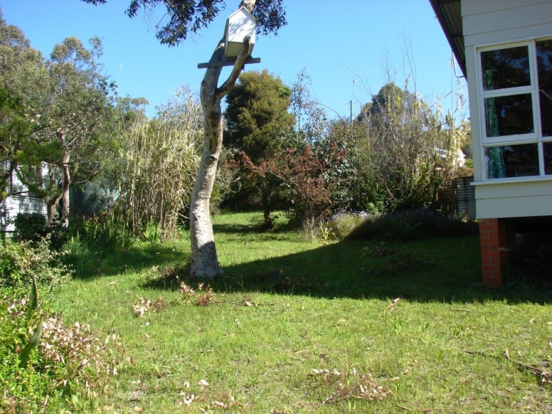 49 Batchela Street, White Beach TAS 7184