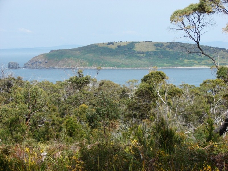 L5 Skeggs Avenue, White Beach TAS 7184