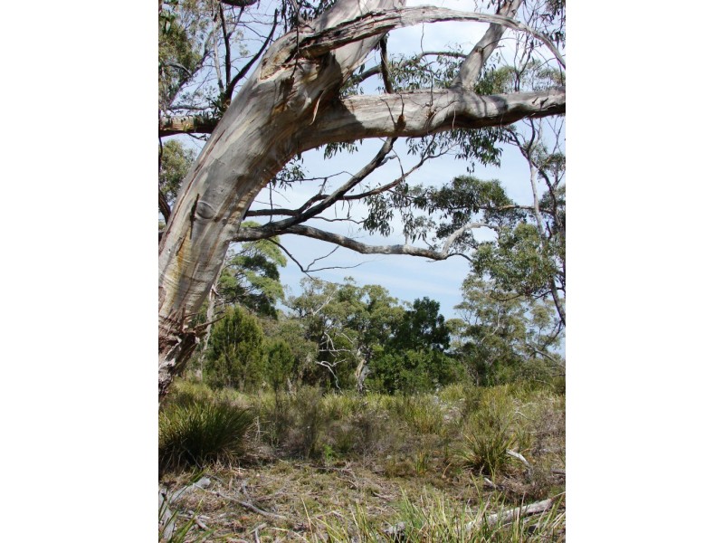 L5 Skeggs Avenue, White Beach TAS 7184