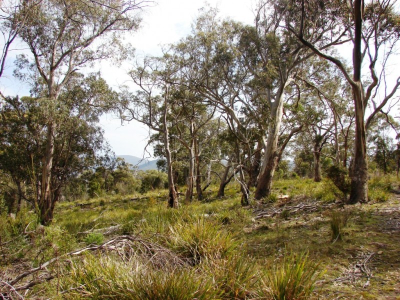 L5 Skeggs Avenue, White Beach TAS 7184