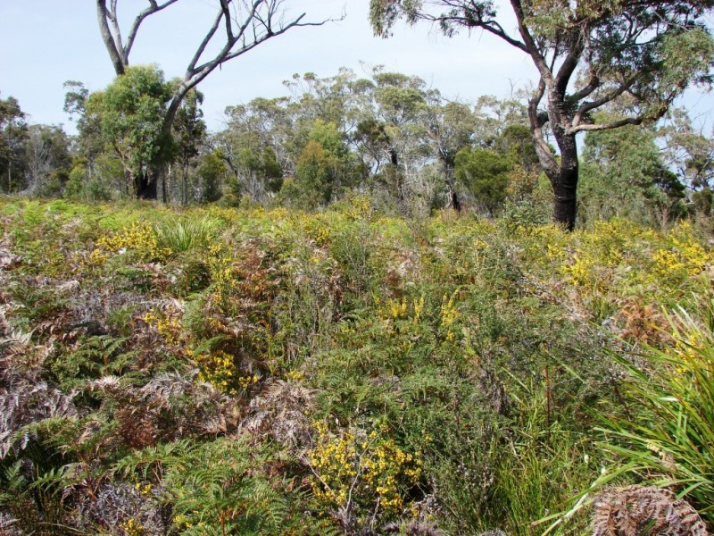 L5 Skeggs Avenue, White Beach TAS 7184