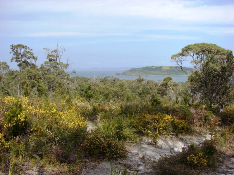 L5 Skeggs Avenue, White Beach TAS 7184