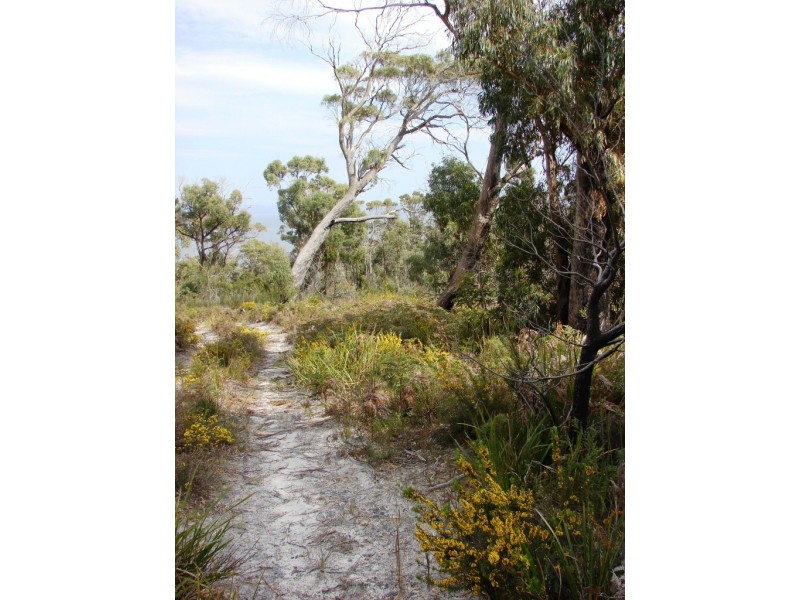 L5 Skeggs Avenue, White Beach TAS 7184