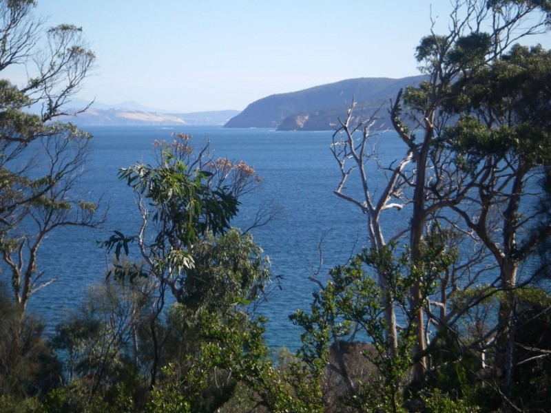 101a Skeggs Avenue, White Beach TAS 7184