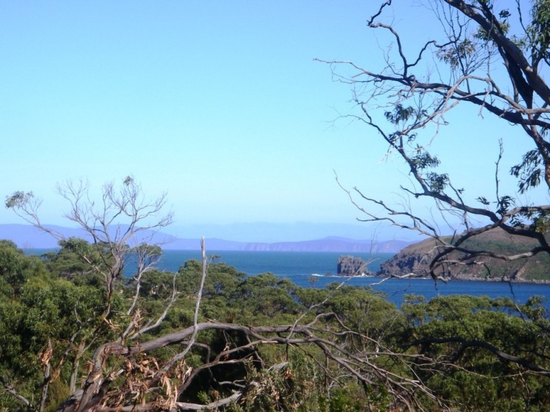 101a Skeggs Avenue, White Beach TAS 7184