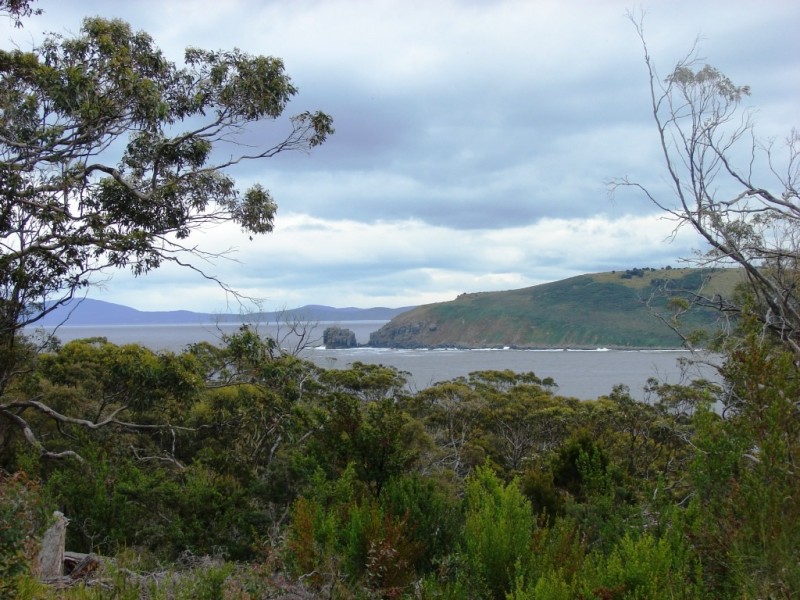 101a Skeggs Avenue, White Beach TAS 7184