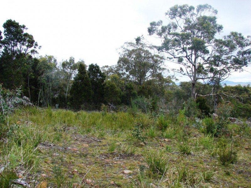 101a Skeggs Avenue, White Beach TAS 7184