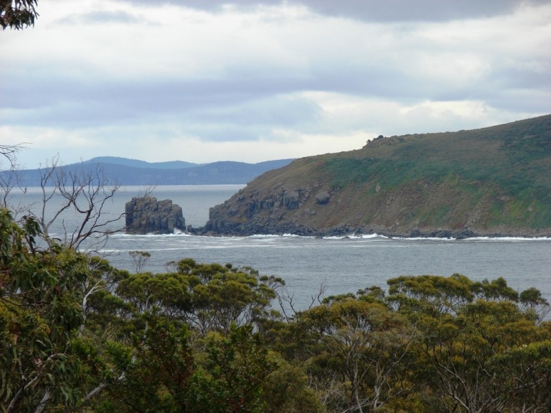 101a Skeggs Avenue, White Beach TAS 7184