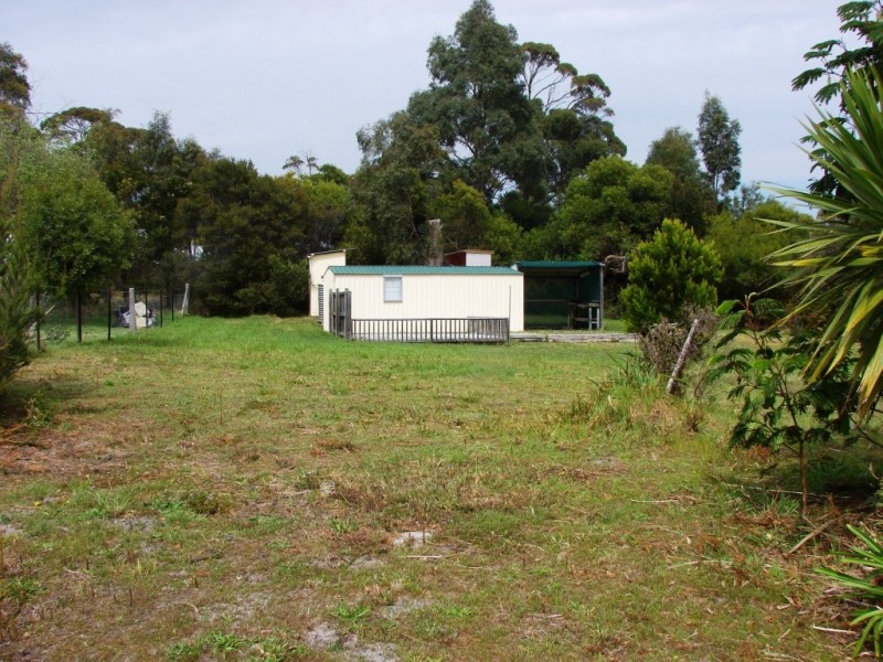 53 Free, White Beach TAS 7184