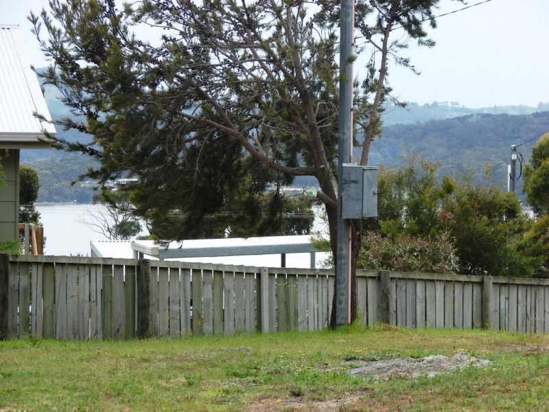 53 Free, White Beach TAS 7184