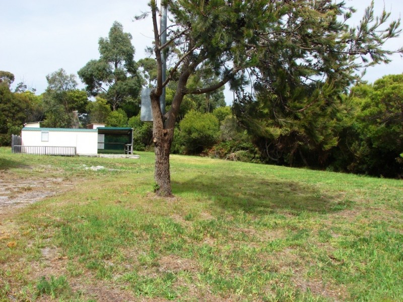 53 Free, White Beach TAS 7184