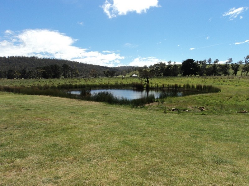 1 Louisa Street, Triabunna TAS 7190