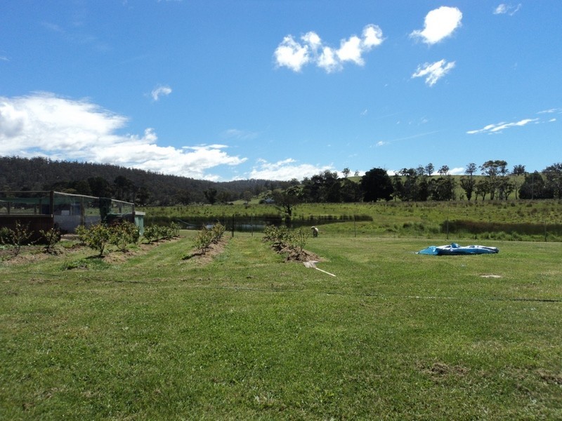 1 Louisa Street, Triabunna TAS 7190