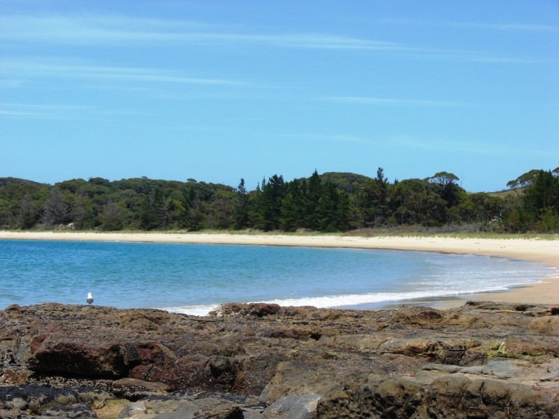 352 Safety cove, Port Arthur TAS 7182