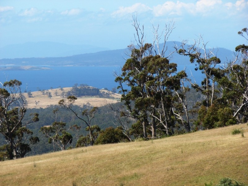 611 Dam Road, Saltwater River TAS 7186