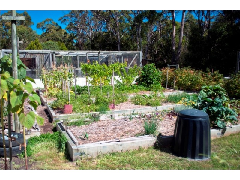 31 Noyes Road, White Beach TAS 7184