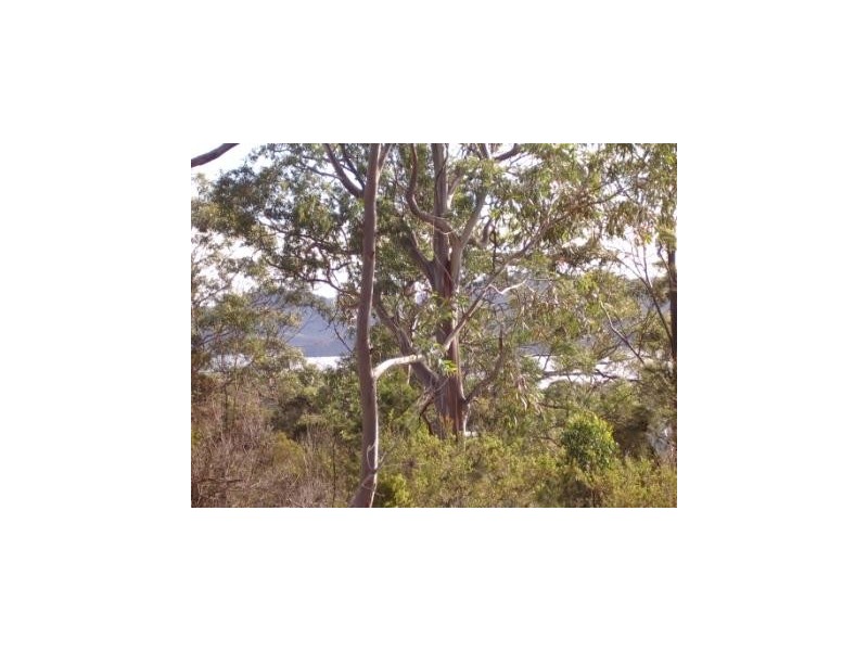 L2 Skeggs avenue, White Beach TAS 7184