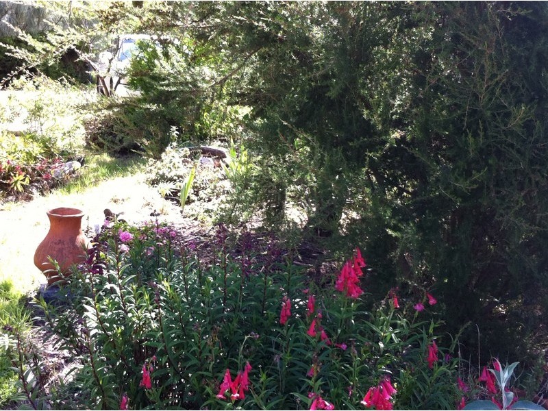 5 Falcon Street, Primrose Sands TAS 7173