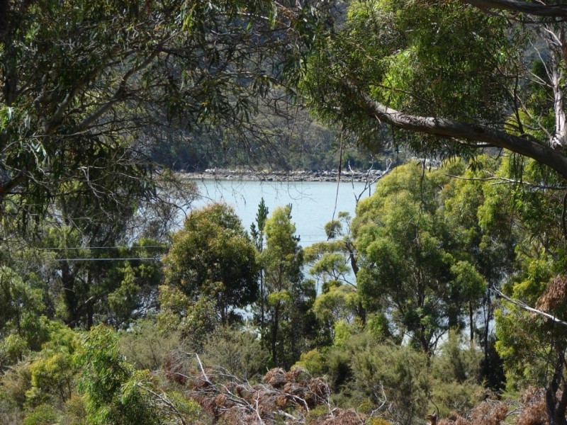 13 Pirates rd, Eaglehawk Neck TAS 7179