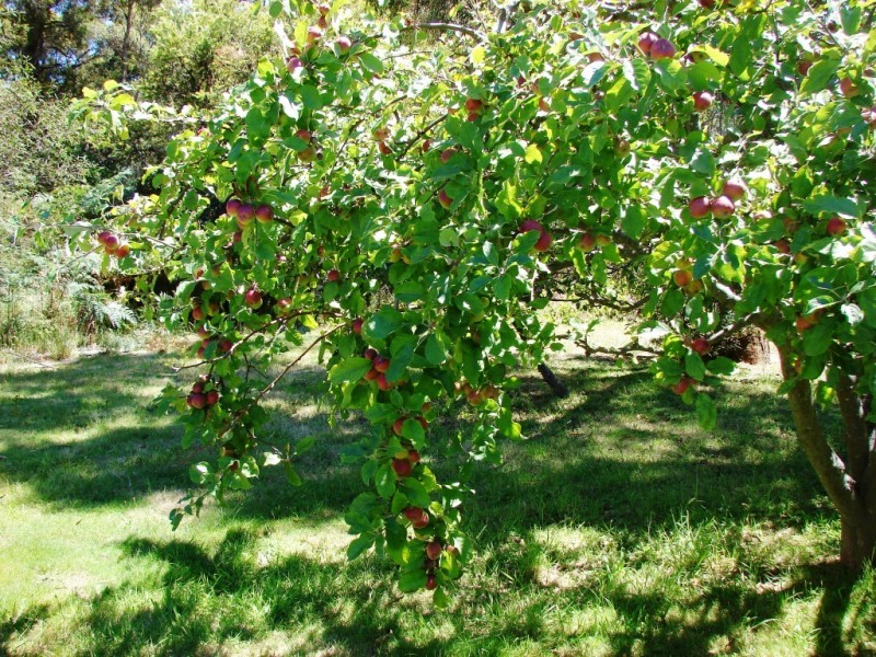 13 Pirates rd, Eaglehawk Neck TAS 7179