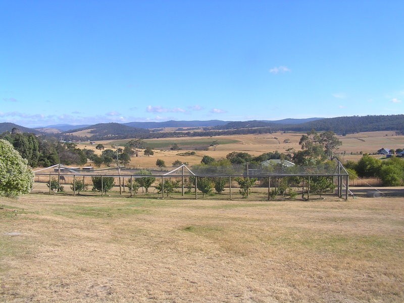 186 Gillingbrook Road, Forcett TAS 7173