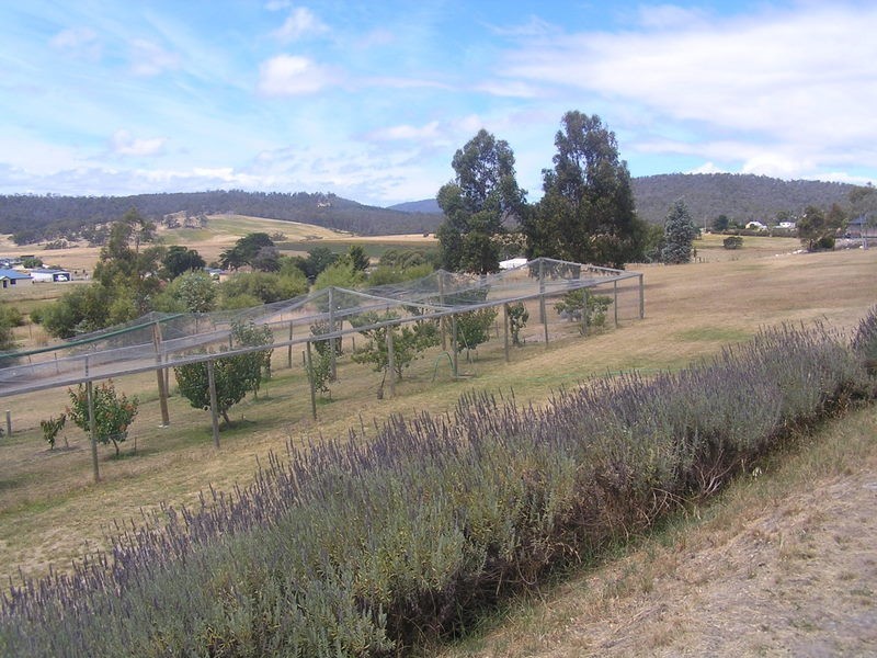 186 Gillingbrook Road, Forcett TAS 7173