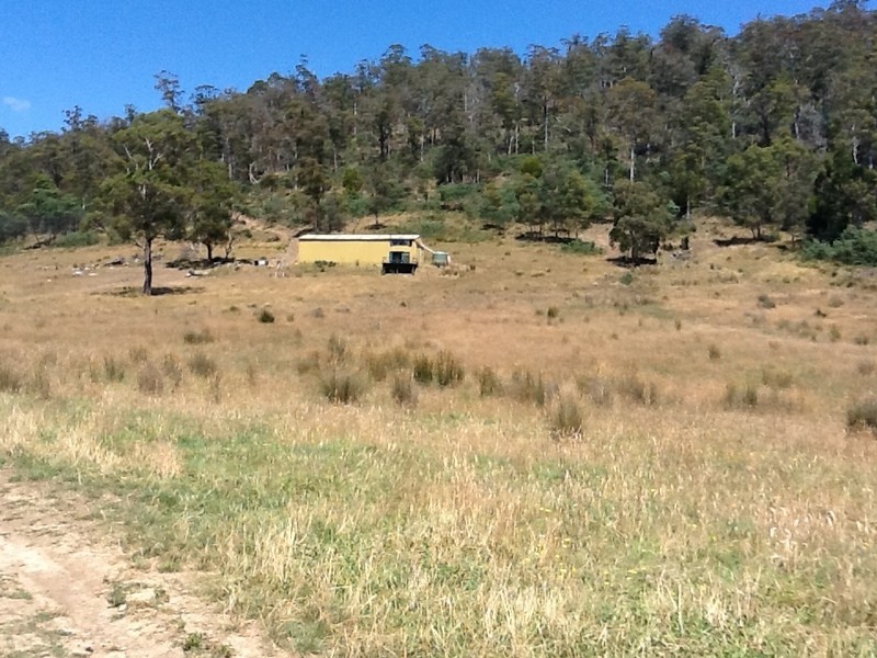 151 Crawlers Gully Road, Nugent TAS 7172