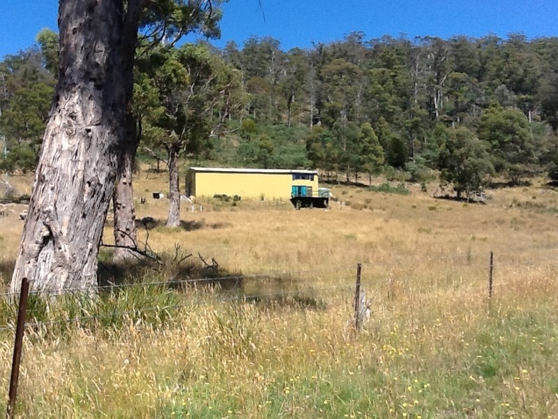 151 Crawlers Gully Road, Nugent TAS 7172