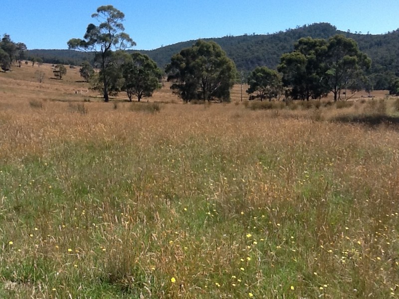 151 Crawlers Gully Road, Nugent TAS 7172