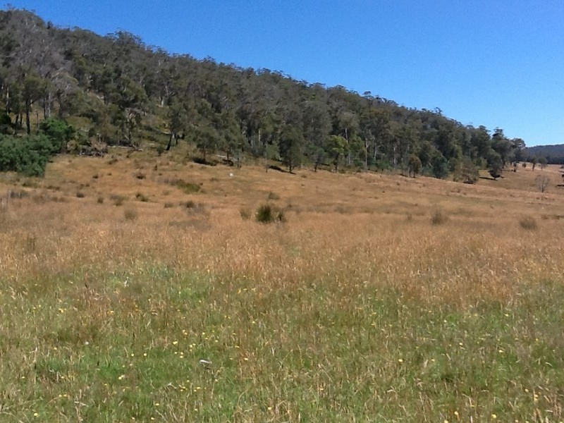 151 Crawlers Gully Road, Nugent TAS 7172