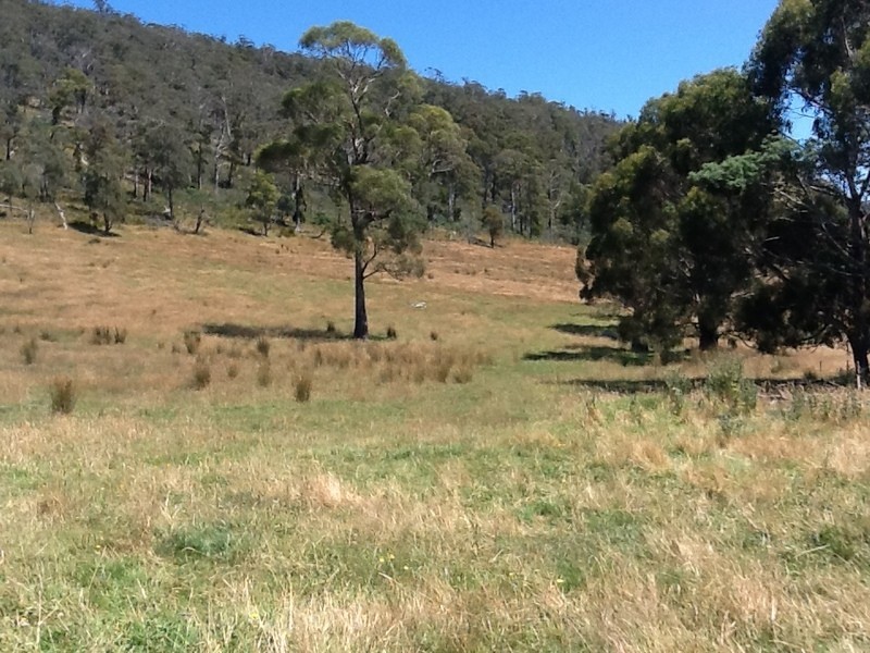 151 Crawlers Gully Road, Nugent TAS 7172